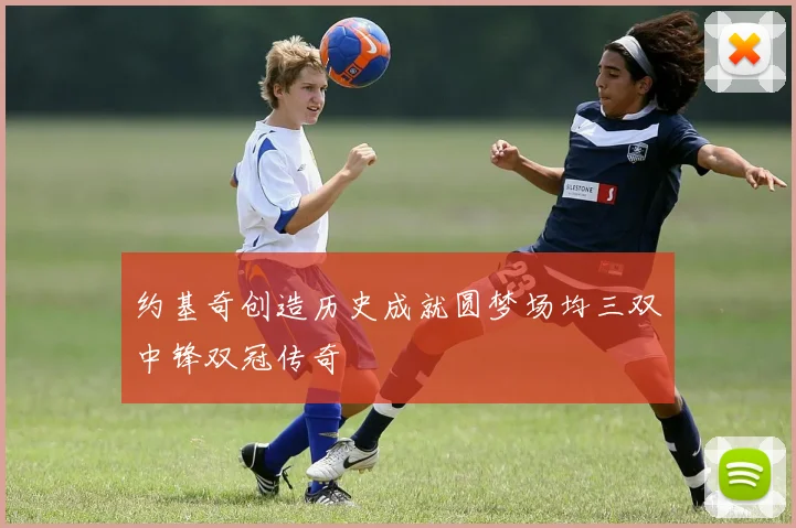 约基奇创造历史成就圆梦场均三双中锋双冠传奇