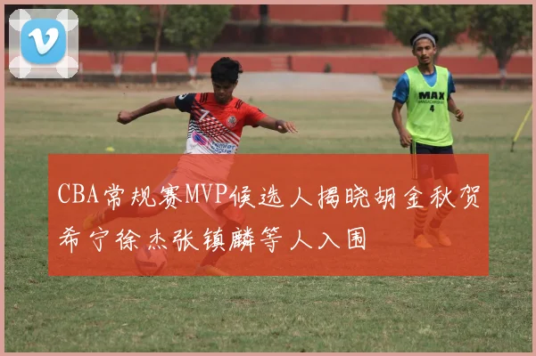 CBA常规赛MVP候选人揭晓胡金秋贺希宁徐杰张镇麟等人入围